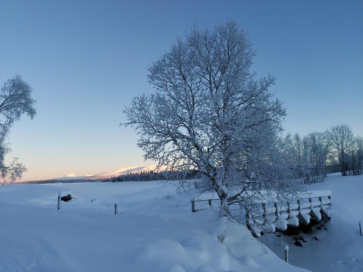 Villmarksgard Tommerstue Hattfjelldal Kültér fotó