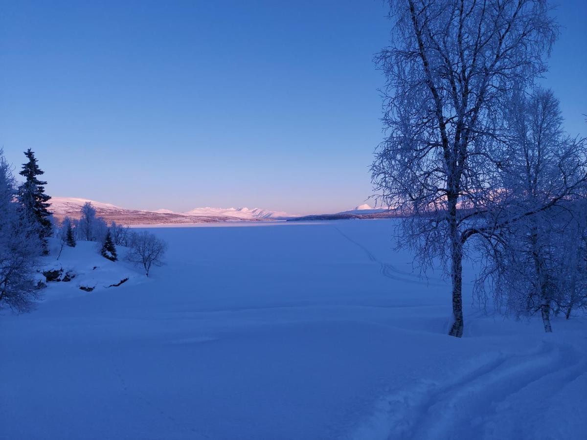 Villmarksgard Tommerstue Hattfjelldal Kültér fotó