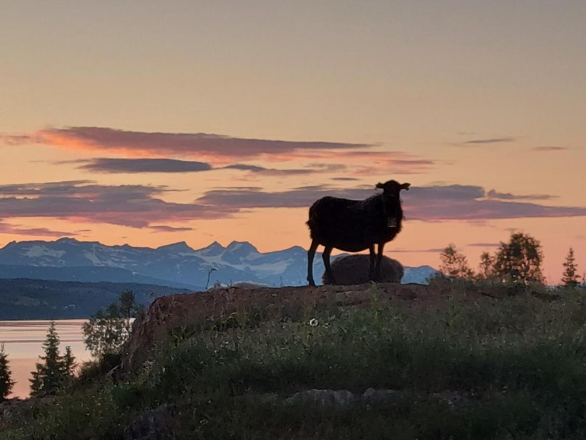 Villmarksgard Tommerstue Hattfjelldal Kültér fotó