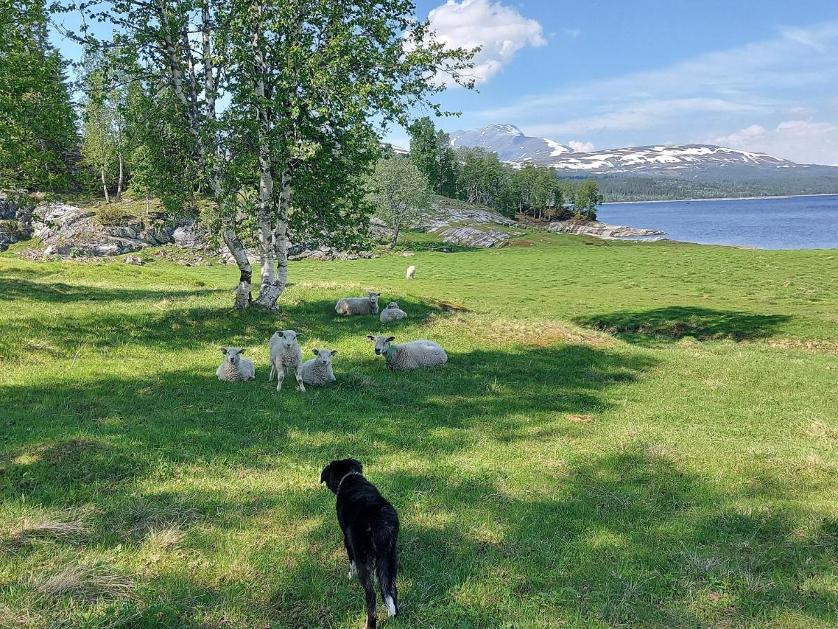 Villmarksgard Tommerstue Hattfjelldal Kültér fotó